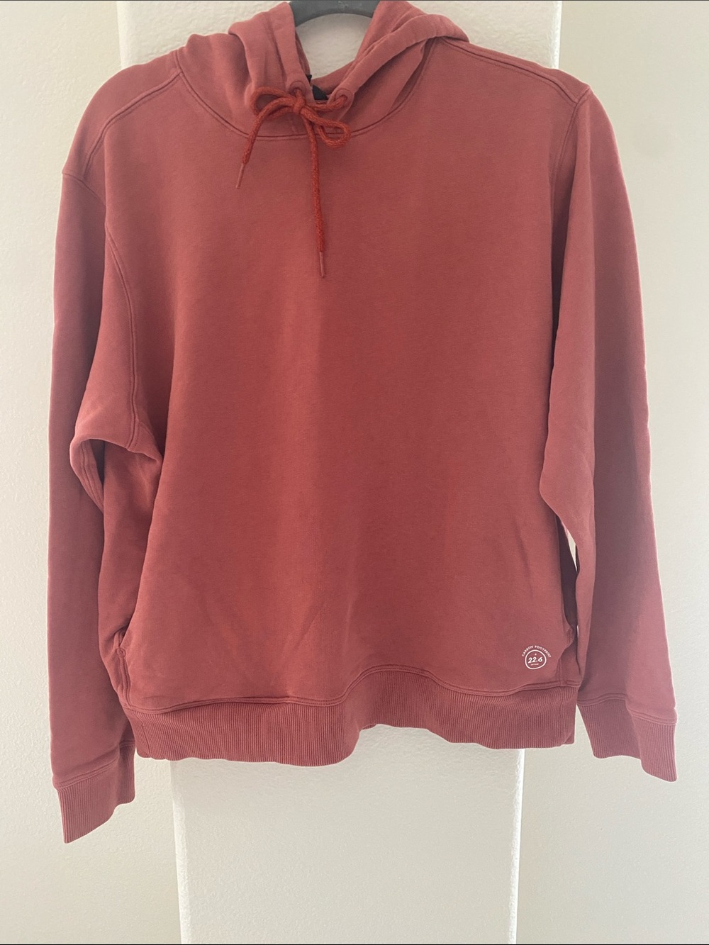 Allbirds Dark Salmon Colored Hooded Sweatshirt Size XL